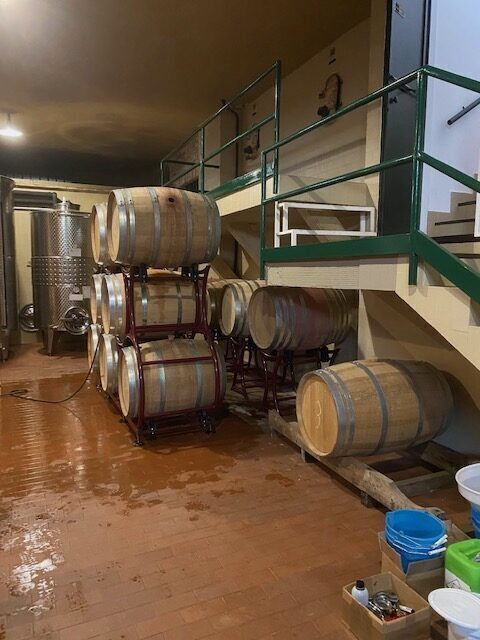 new wine barrels for the wine production 2022 at Tenuta CostaRossa
