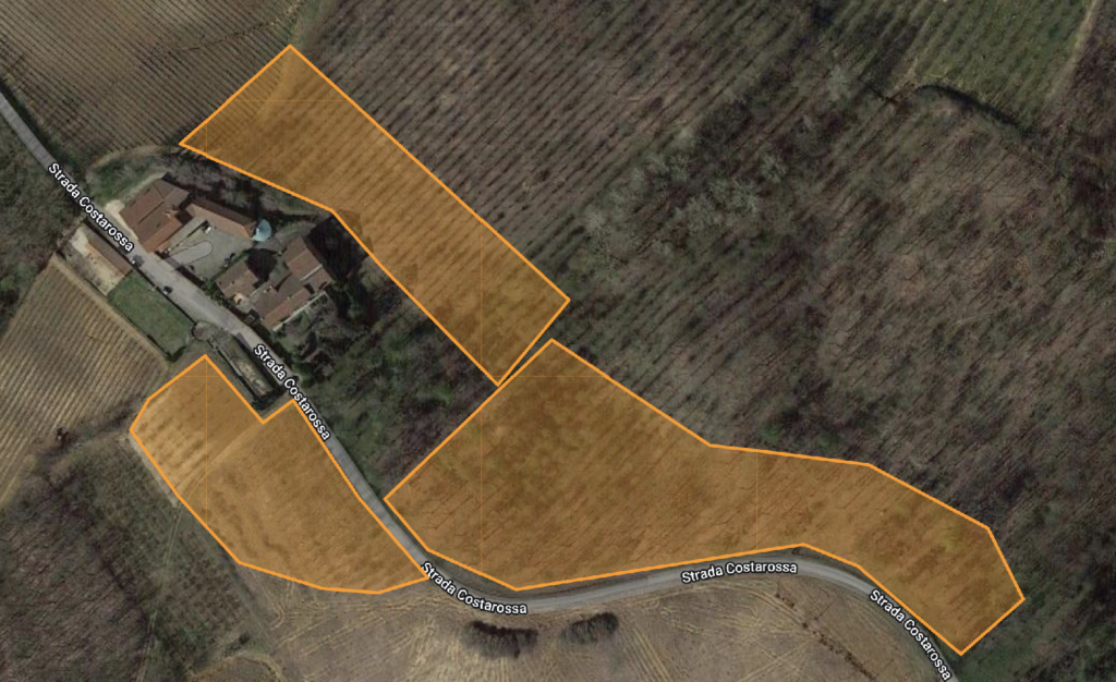 aera where new vines will be planted in spring 2023