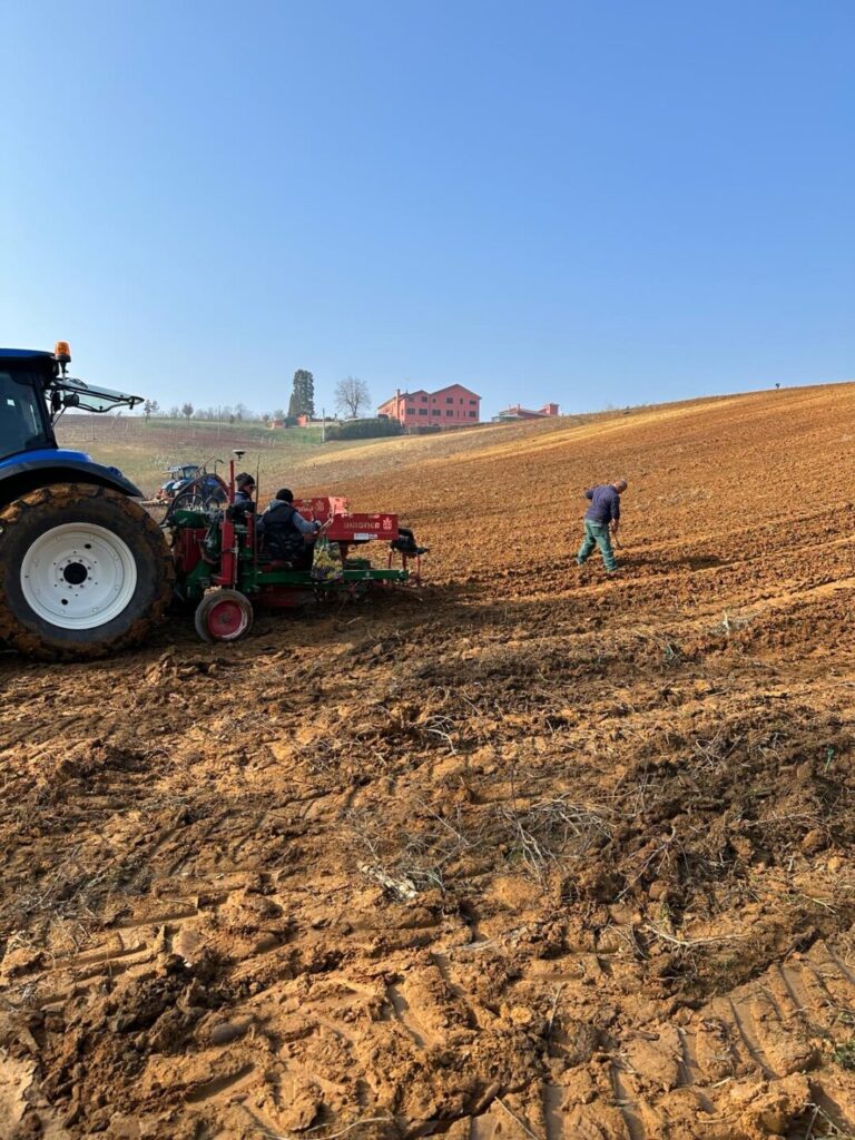 Planting of Pinot Nero grapes at Tenuta CostaRossa